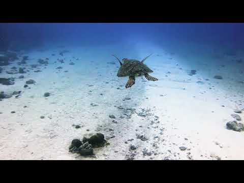 Andrew Bayer Live At Ultra Music Festival Miami 2015 Full Set 432hz