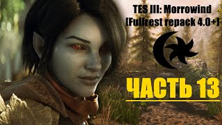 TES III: Morrowind [Fullrest repack 4.0+] #13. Вляпалась в историю