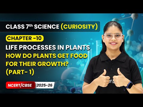 Class 7 Science Curiosity Book – Full Book Overview NCERT CBSE 2025 26 New Syllabus Explained