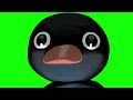 Pingu Noot Noot Green Screen