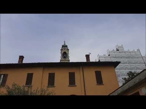 Campane di Bollate (MI)