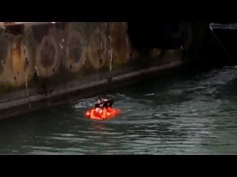 Спасяване на котка, която е попаднала под ферибот