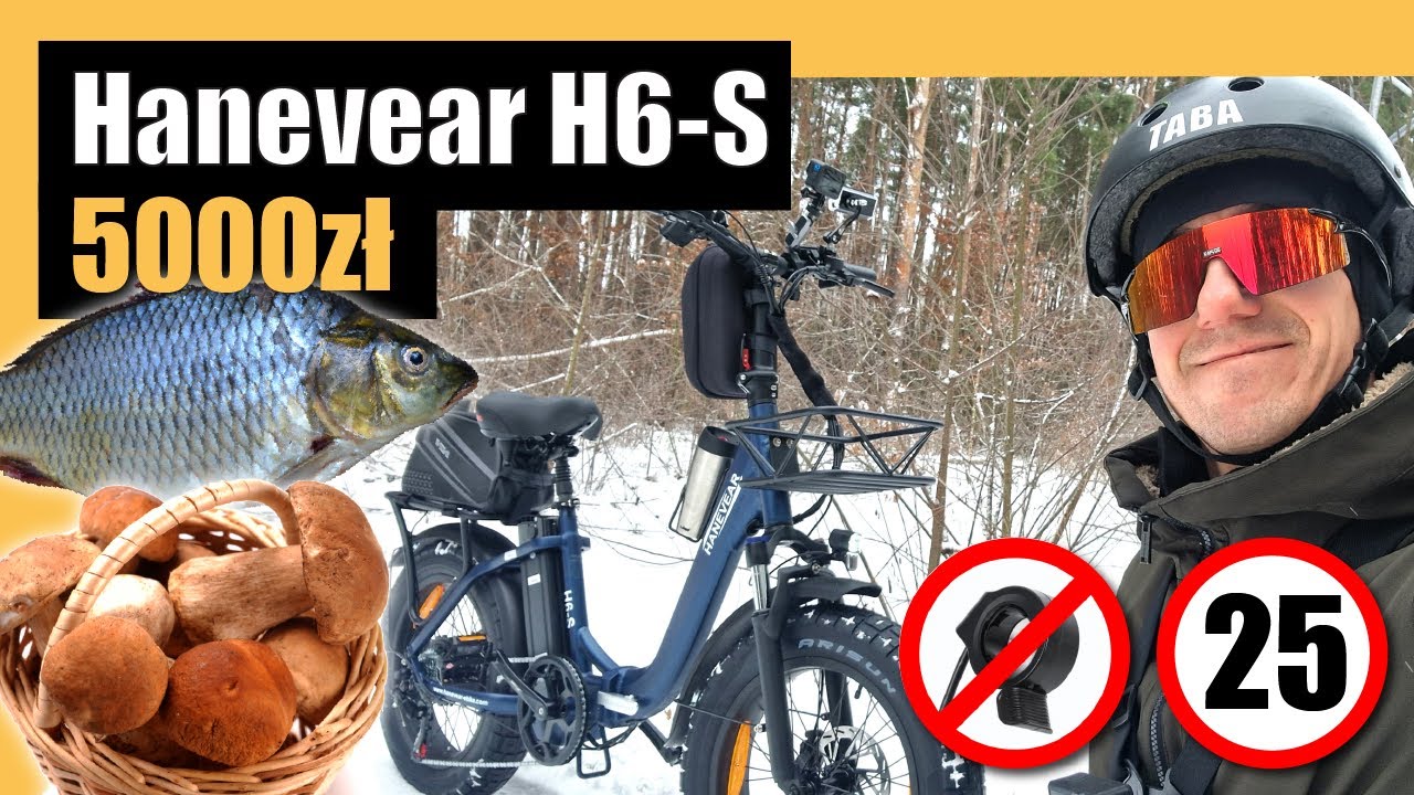 Elektryczny składak na rybki i grzybki - Hanevear H6-S