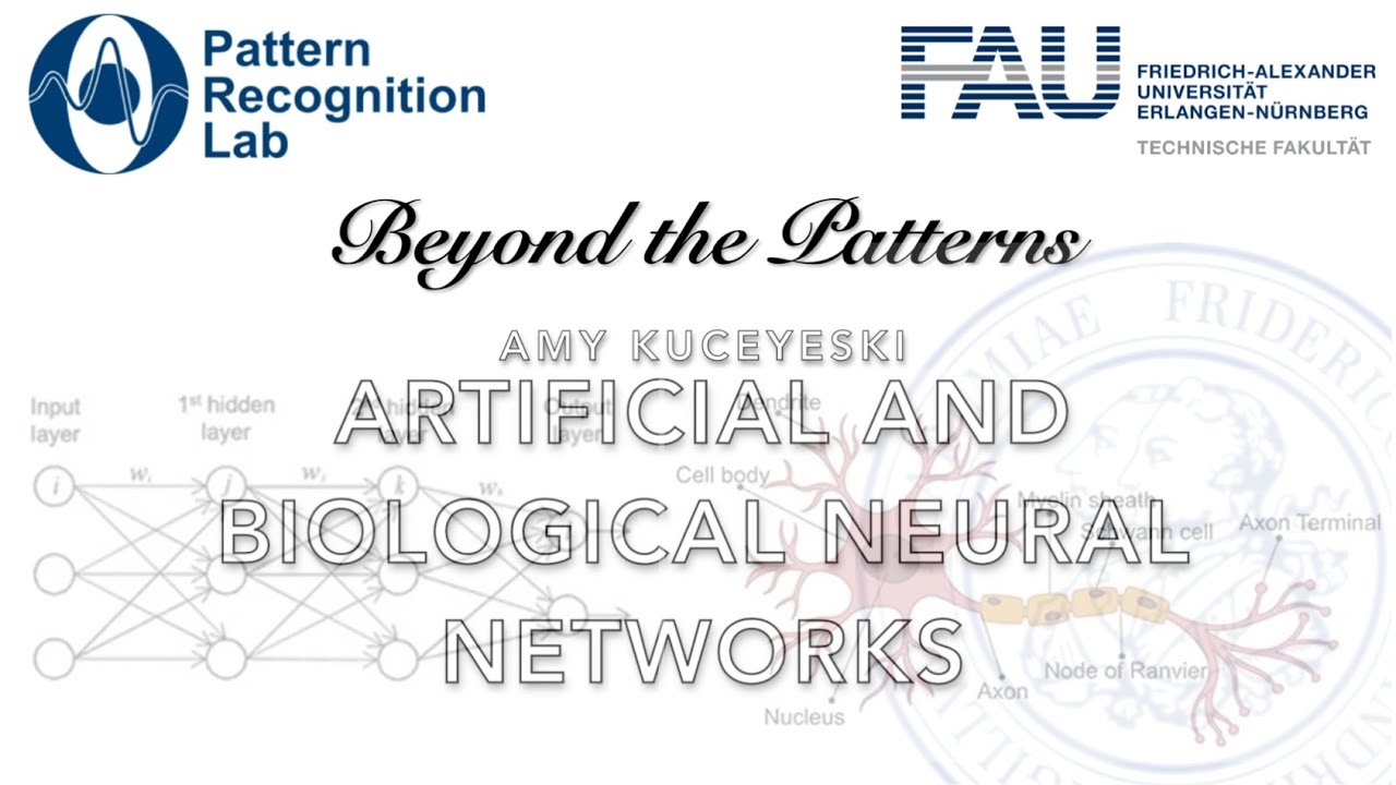 Beyond the Patterns: Biological and Artificial Neural Networks
