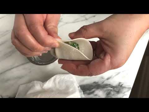 Dumpling Folding Technique 3: The One-directional Pleat
