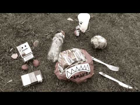 Werdersee – Der große Mülleimer?