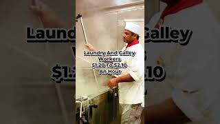 How much do cruise ship crew members actually make?  #cruisenews #cruiseinfo #cruisefact #cruiseship