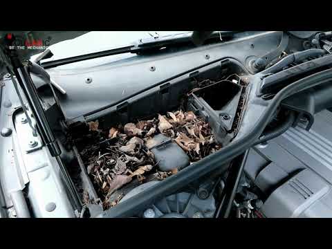 BMW Owners! How to Replace the Cabin Air Filter (Microfilter) | Step-by-Step Guide