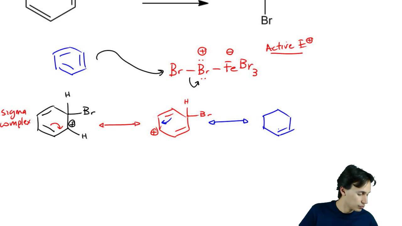 EAS Halogenation