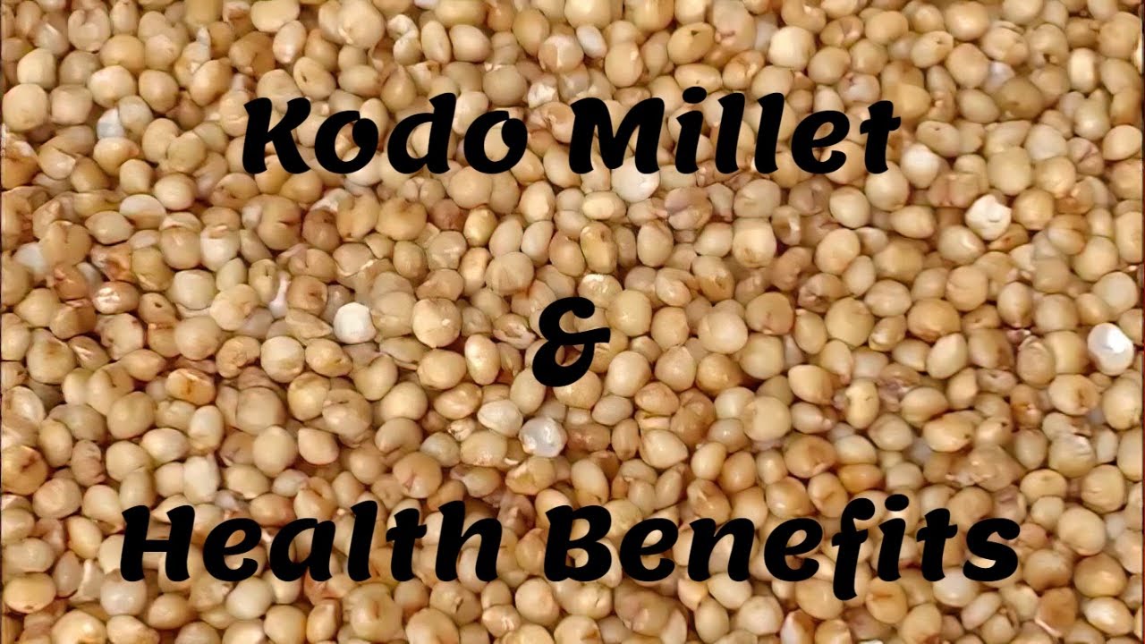 All About Kodo Millet | Health Benefits of Kodo Millet | Positive Millets | Siridhanya Millets