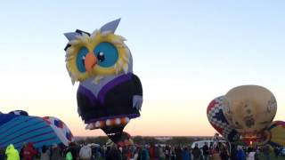Owl in the Sky Turns To Us
