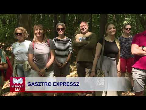 Videó előnézet