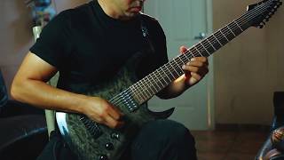 Animals As Leaders - Cognitive Contortions Guitar Cover