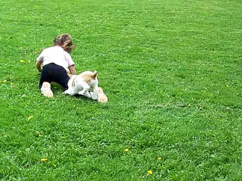 Journey playing with Jailyn