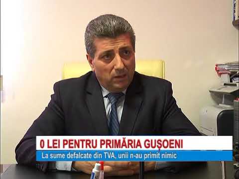 0 LEI PENTRU PRIMARIA GUSOENI