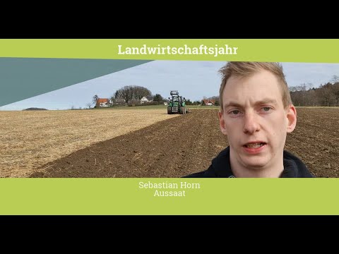 Aussaat von Erbsen mit AgrarScout Sebastian Horn