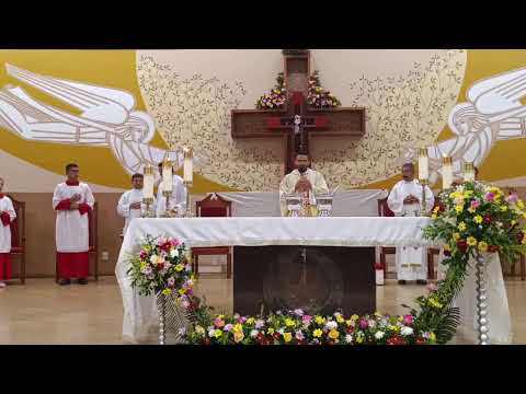 Santa Missa  | Quarta-feira da 5ª semana da Páscoa(01.05.24) | Pe. Chagas Marques.