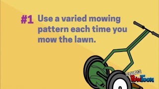 Lawn  mowing techniques