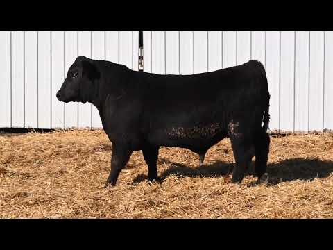 Listing 51768515940-video