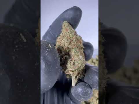 CBD Super Skunk - Cannabis Legale