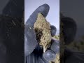 CBD Super Skunk Cannabis Legale