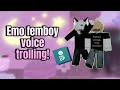 Trolling As Femboys On Roblox Using An AI Voice Changer