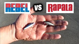 RAPALA vs REBEL! Which Fishing Lure Catches The Most Fish?