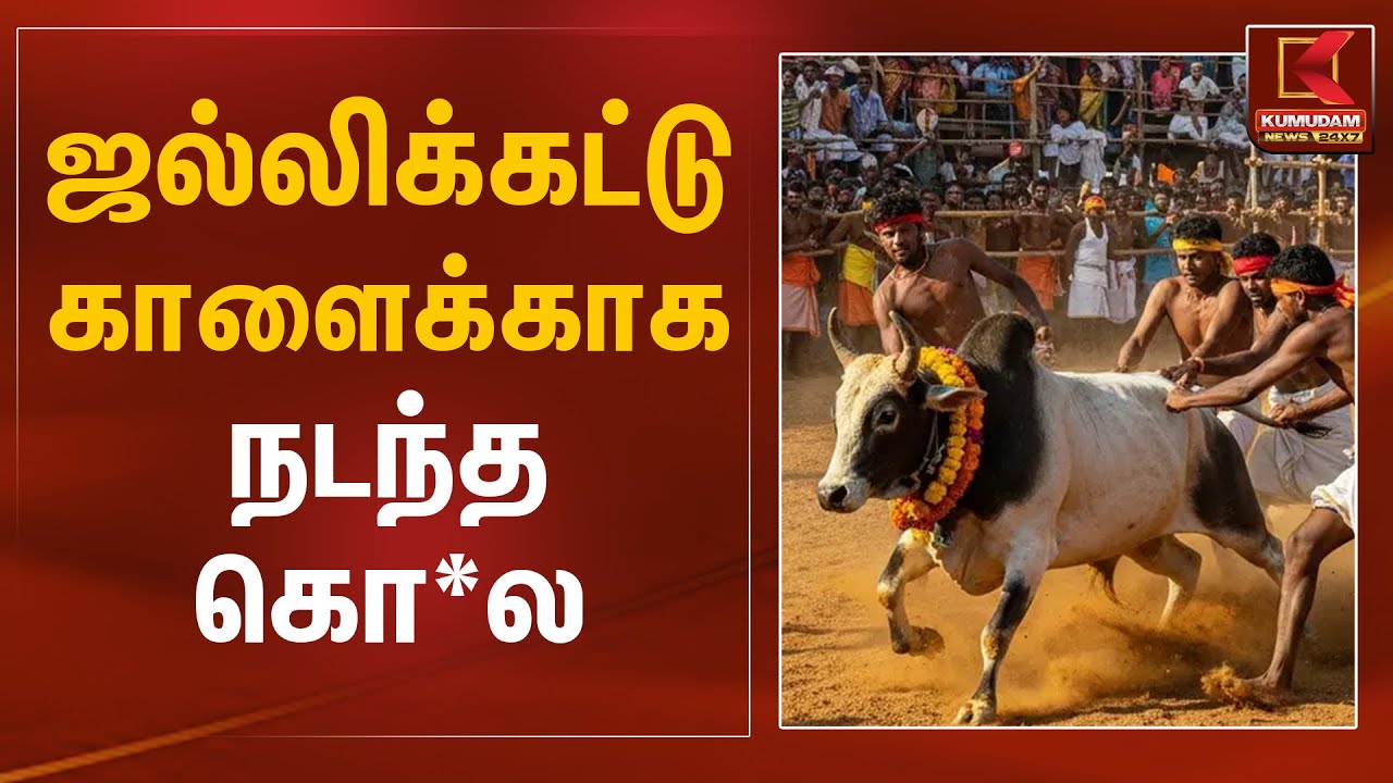ஜல்லிக்கட்டு காளைக்காக நடந்த கொ*ல | Pudukottai | Crime | Kumudam News