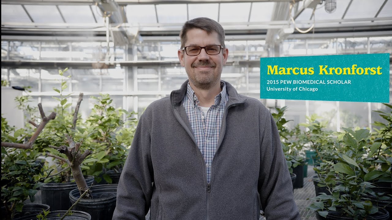 What butterfly wings teach us about nature and health | Pew scholar Dr. Marcus Kronforst