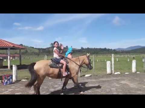 Videos del Recanto Do Teixeira 4★ en Nazaré Paulista, BrasilVer MásVerPrecios13CerrarConsulta por Whatsapp 🇦🇷BookingTripadvisorExpediaAgodaPricelineTripSkyscannerDespegarKayakHotelesBestdayTrivagoTurismocity