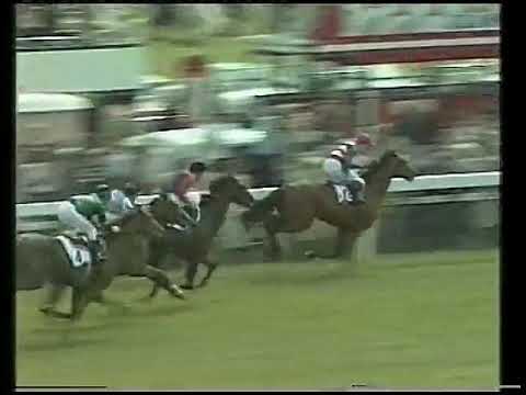 1979 Derby Troy