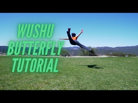Wushu Tutorial How to Butterfly