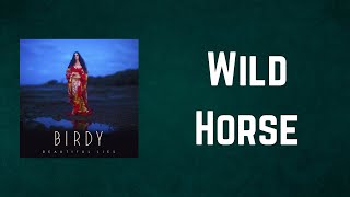 Birdy - Wild Horse (Lyrics)