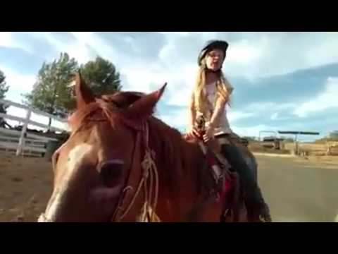 HiCaliber Dakota - Golden Boy, Kid's Horse