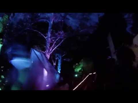 Psychedelic forest disco 2014