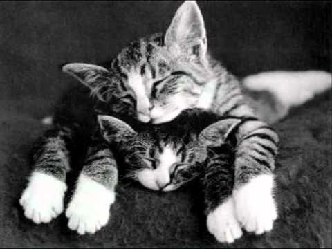 Lets Fall In Love - Lew Sherwood - Eddy  Duchin Orch - 1934