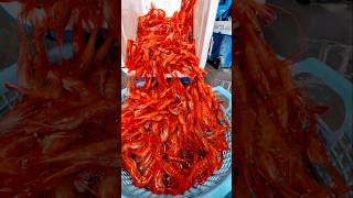 南蛮エビを知っていますか？鮮やかな赤色の海老