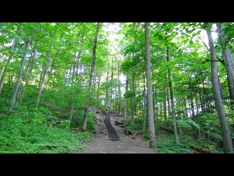 2020.06.06 Thornton Bales Conservation Area