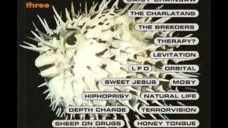 Volume Three - Terrorvision - My House