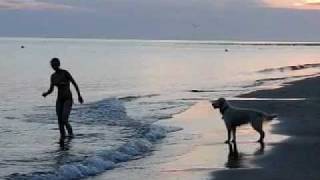 preview picture of video 'Hond aan zee, Dog at the beach in slow-motion ( Casio EX F1 )'