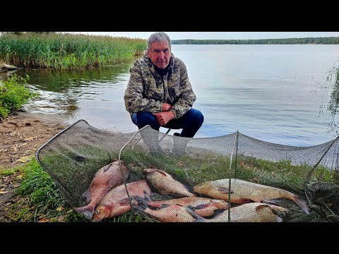 Первый Раз Такие Лещи на Чигиринском Водохранилище!