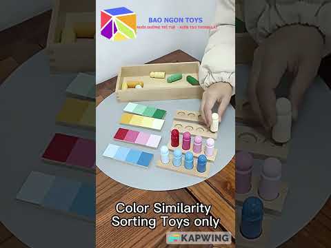 Giáo cụ dạy học Montessori chuẩn quốc tế sắp xếp đậm nhạt giúp bé học phân loại màu sắc đơn giản - BAO NGON TOYS - DG187