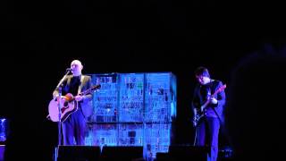 Billy Corgan Ravinia Festival Show - The Rose March