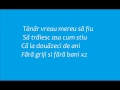 Voltaj-20 de ani (Lyrics) 