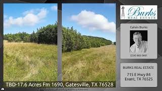 TBD-17.6 Acres Fm 1690, Gatesville, TX 76528