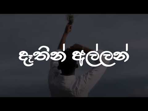 Dathin Allan Lyrics Video | දෑතින් අල්ලන් | Lashan Herath | Lyrics Com LK ඉතින් මන් ආසම මල