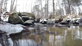 Winter Tour of Kappers Southern Illinois Farm; food plots, creeks & deer