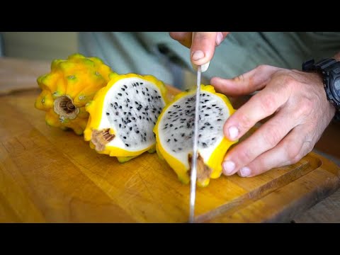 The SWEETEST of all Cactus Fruits?! Unboxing Yellow Pitaya