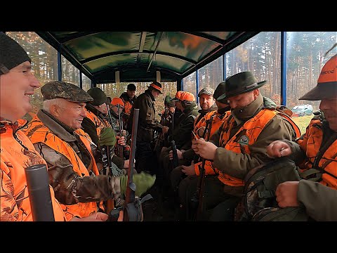 I Met Hunters - Episode 515 Hubert's Hunt in the "Borsuk" Hunting Club in Częstochowa