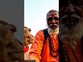 Monkey Subscribe Monkeyvlog Like
